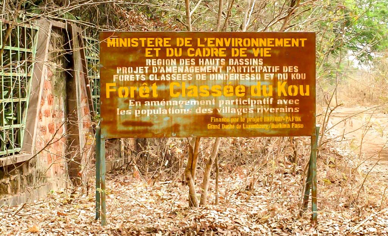 Forêt classé de Kou